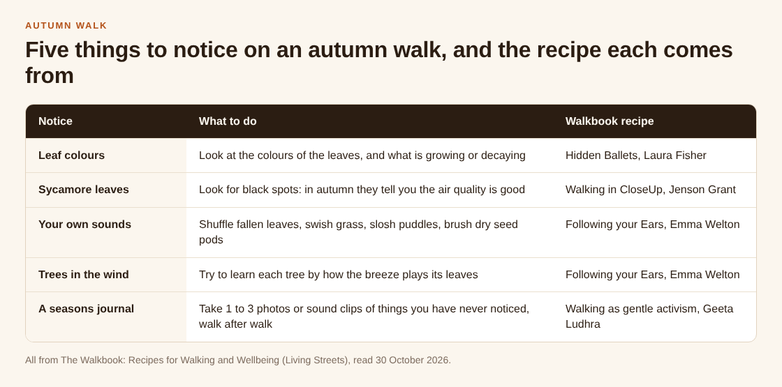Table of five things to notice on an autumn walk, each with what to do and the Walkbook recipe it comes from